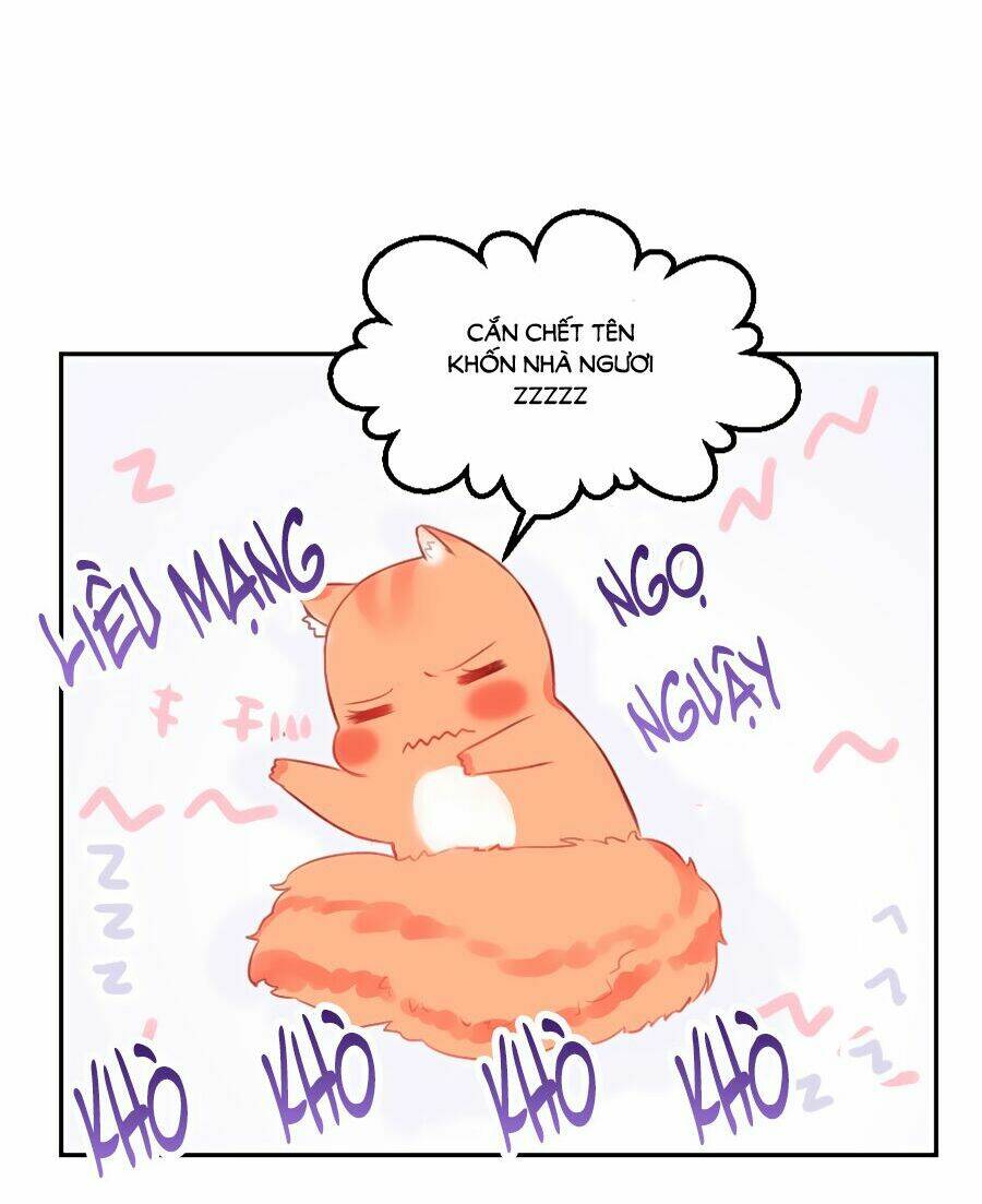 Đường Hoa Nhất Mộng Cổ Phi Truyện: Chapter 23