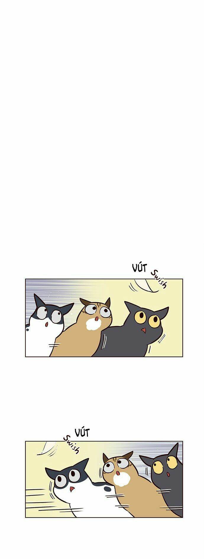 Chị Tôi Đã Nhặt Về Nhà Một Nam Chính Quyến Rũ: Chapter 16