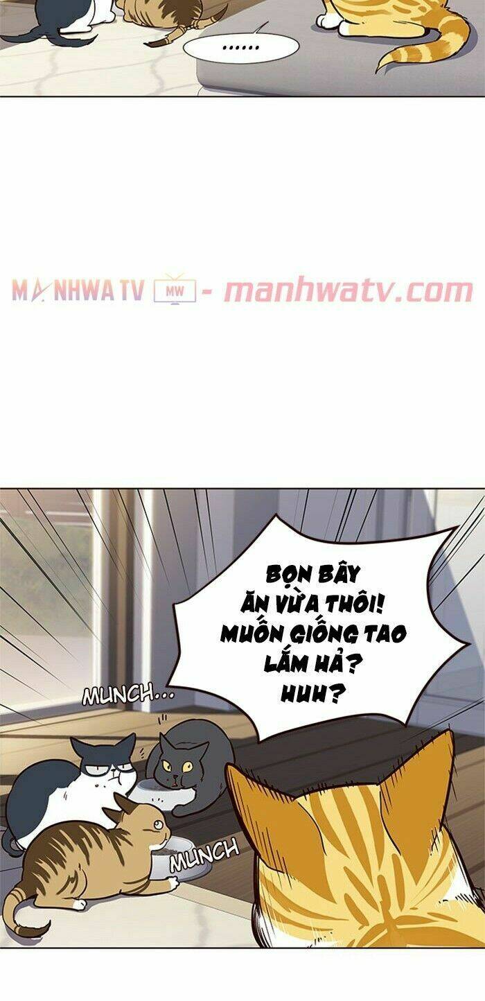 Chị Tôi Đã Nhặt Về Nhà Một Nam Chính Quyến Rũ: Chapter 17