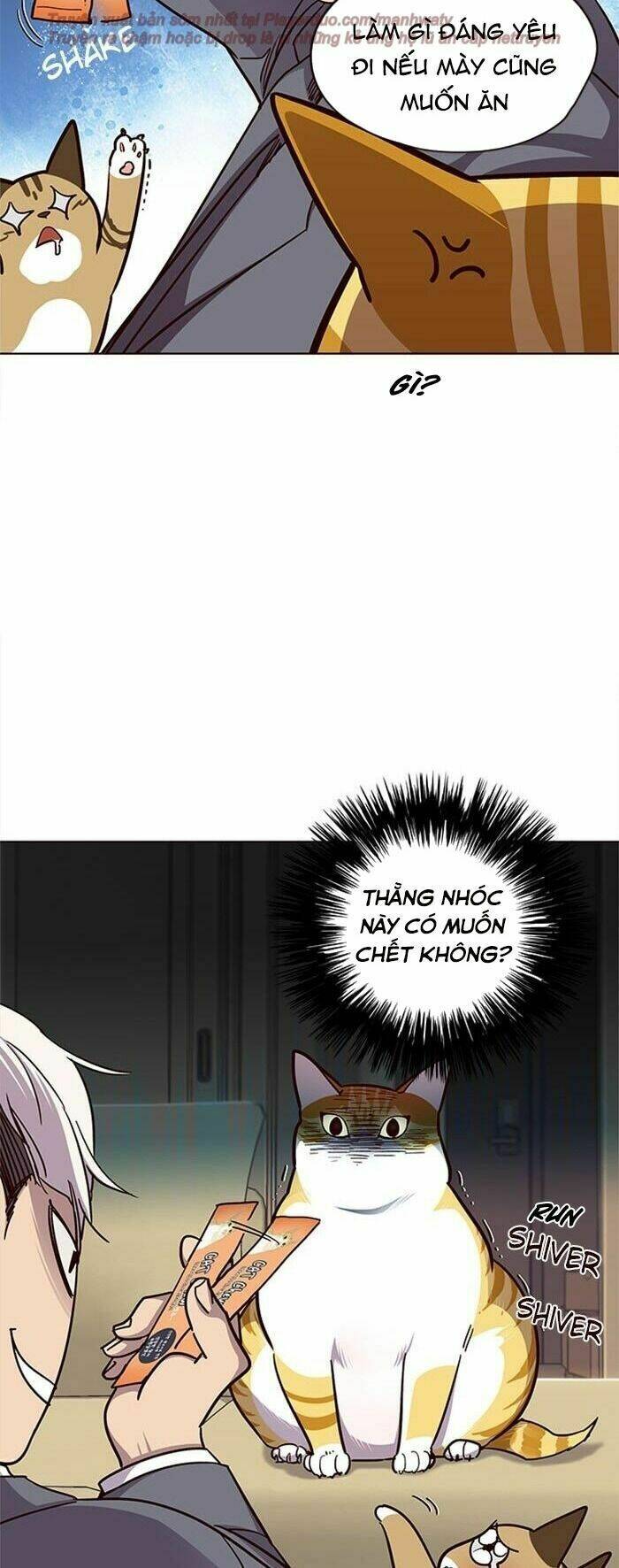Chị Tôi Đã Nhặt Về Nhà Một Nam Chính Quyến Rũ: Chapter 38