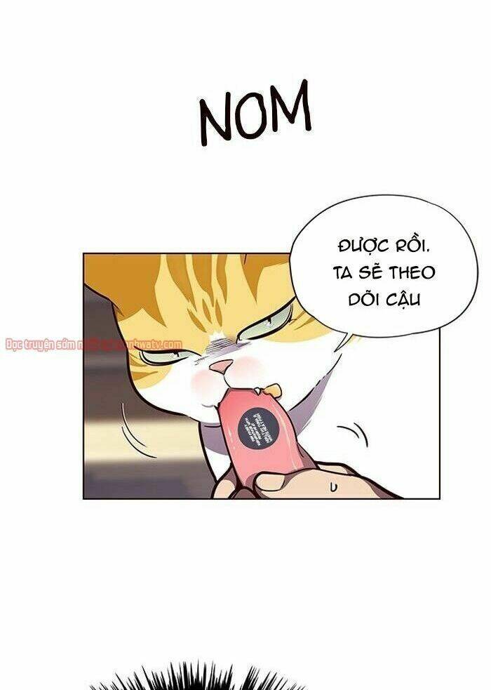 Chị Tôi Đã Nhặt Về Nhà Một Nam Chính Quyến Rũ: Chapter 50