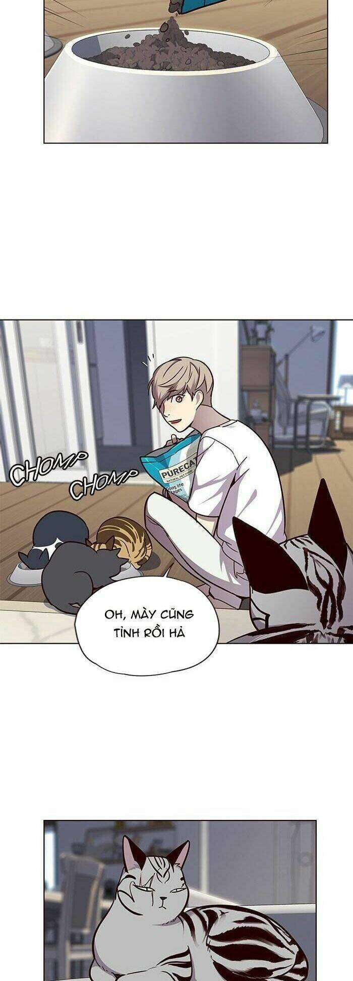 Chị Tôi Đã Nhặt Về Nhà Một Nam Chính Quyến Rũ: Chapter 55