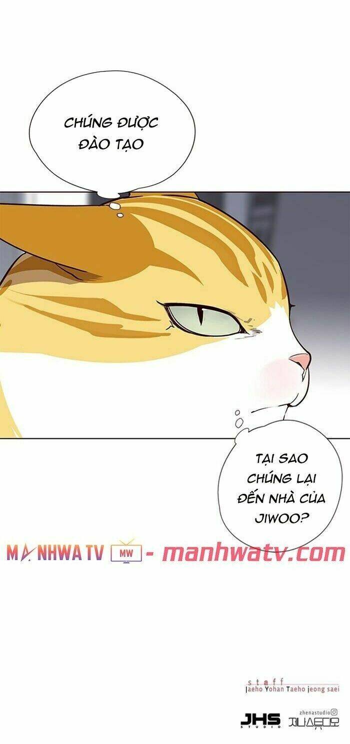 Chị Tôi Đã Nhặt Về Nhà Một Nam Chính Quyến Rũ: Chapter 57