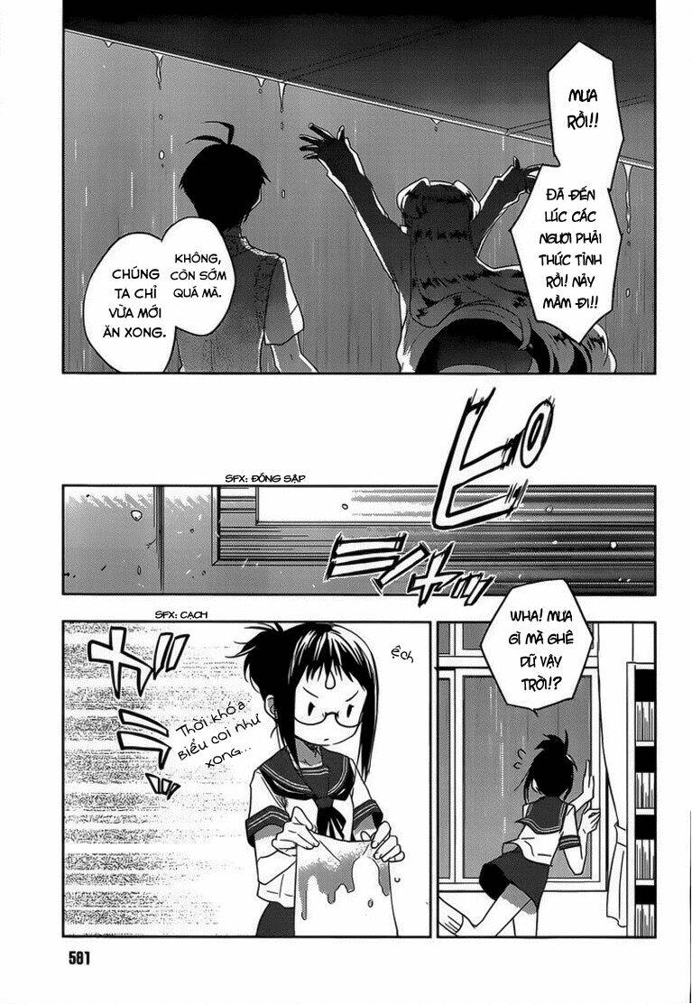 Evergreen: Chapter 13