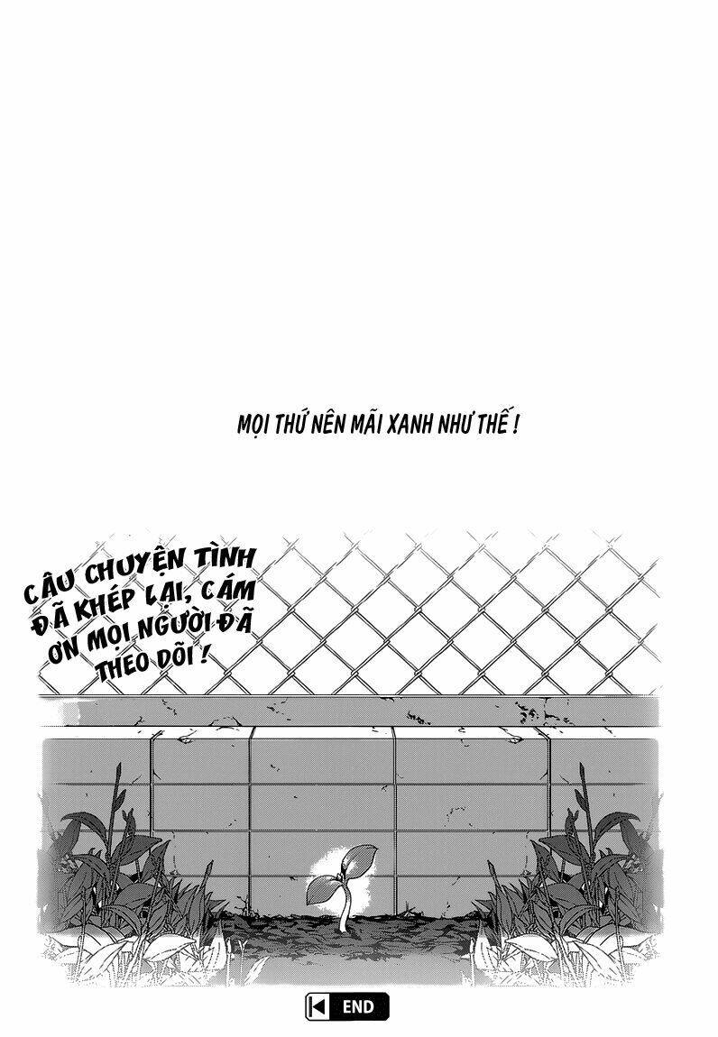 Evergreen: Chapter 23