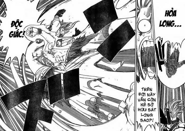 Fairy Tail: Chapter 19