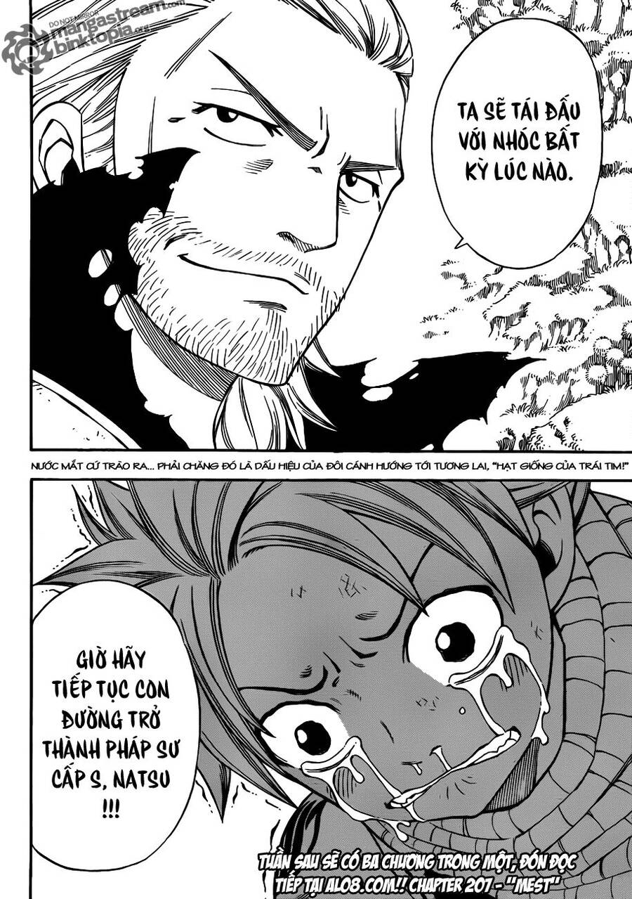 Fairy Tail: Chapter 206