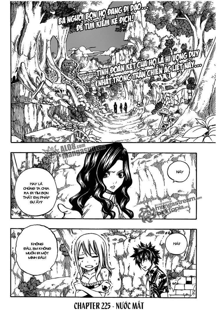 Fairy Tail: Chapter 225