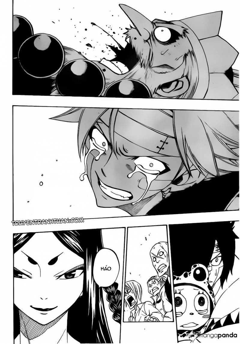 Fairy Tail: Chapter 300