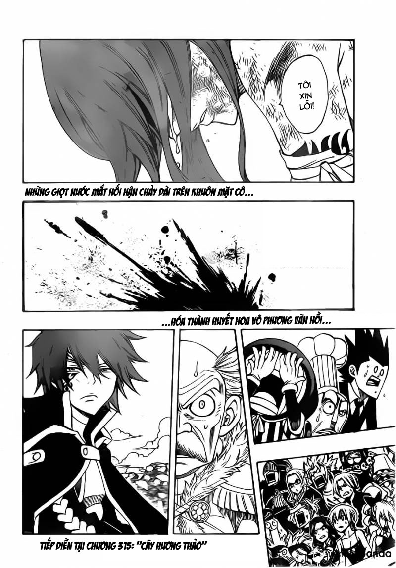 Fairy Tail: Chapter 314