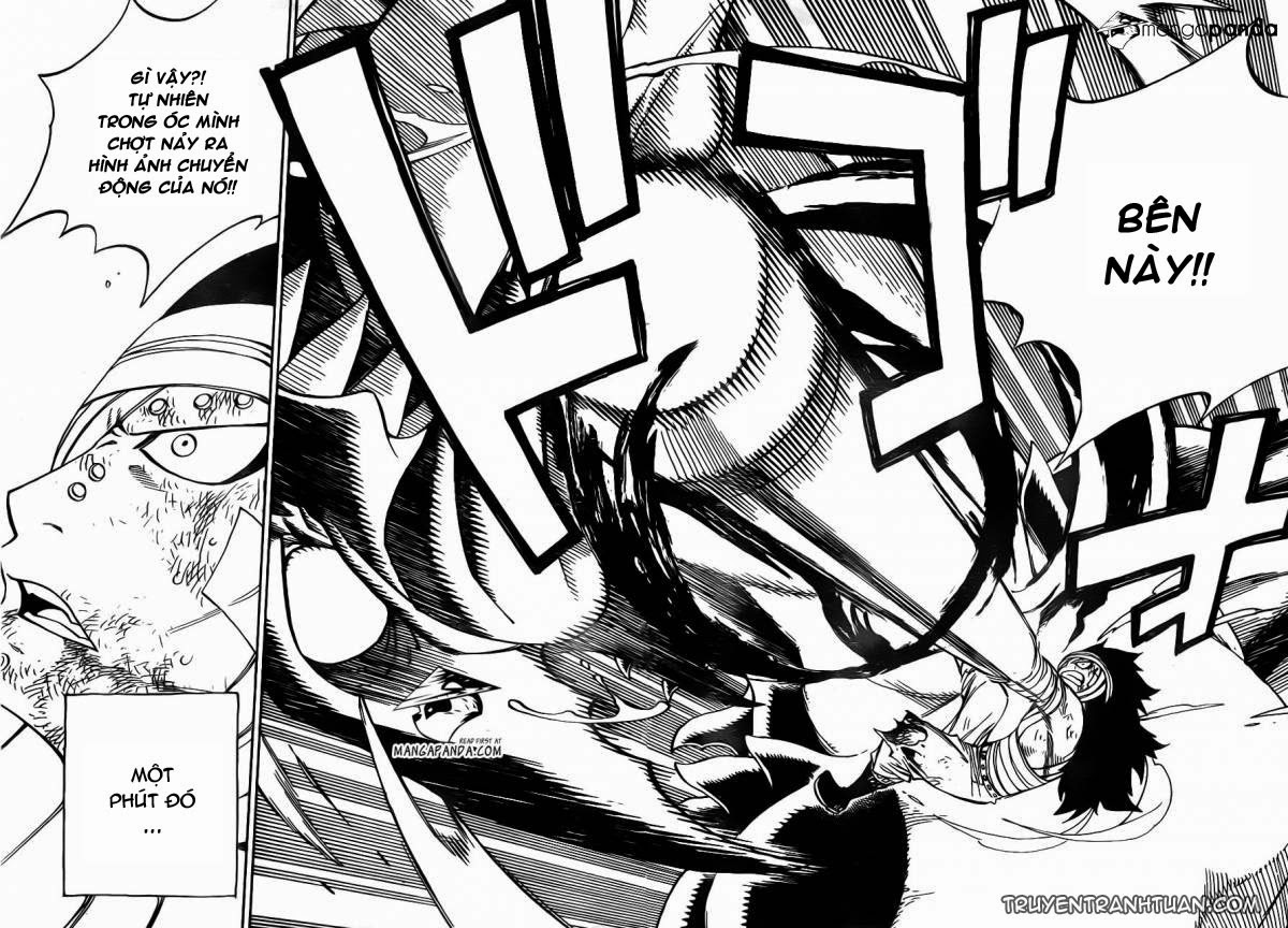 Fairy Tail: Chapter 335