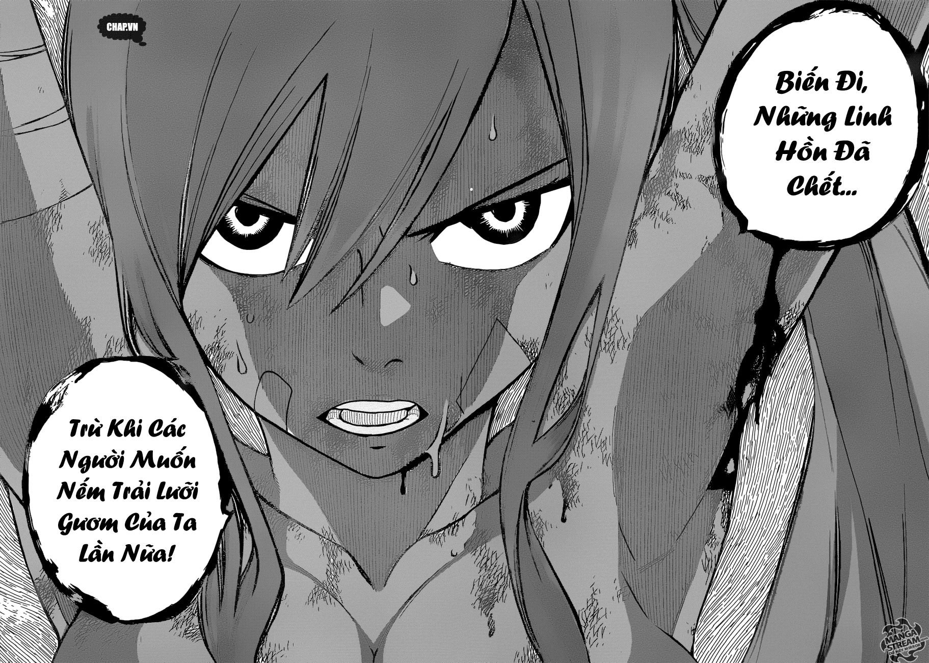Fairy Tail: Chapter 482