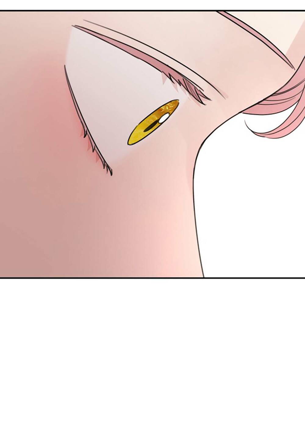 Gia Đình Chồng Bị Ám Ảnh Bởi Tôi: Chapter 41.2