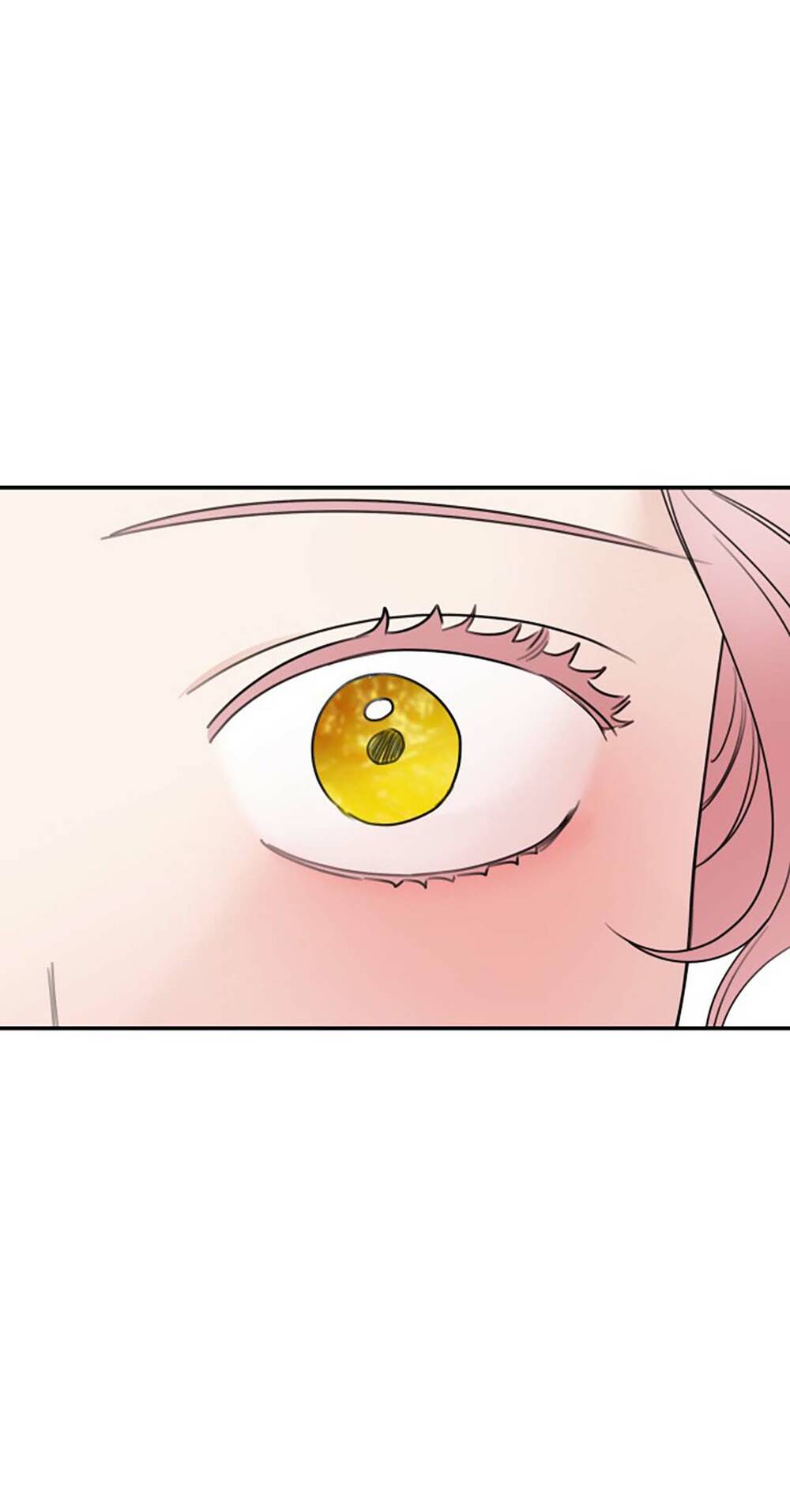 Gia Đình Chồng Bị Ám Ảnh Bởi Tôi: Chapter 41.2