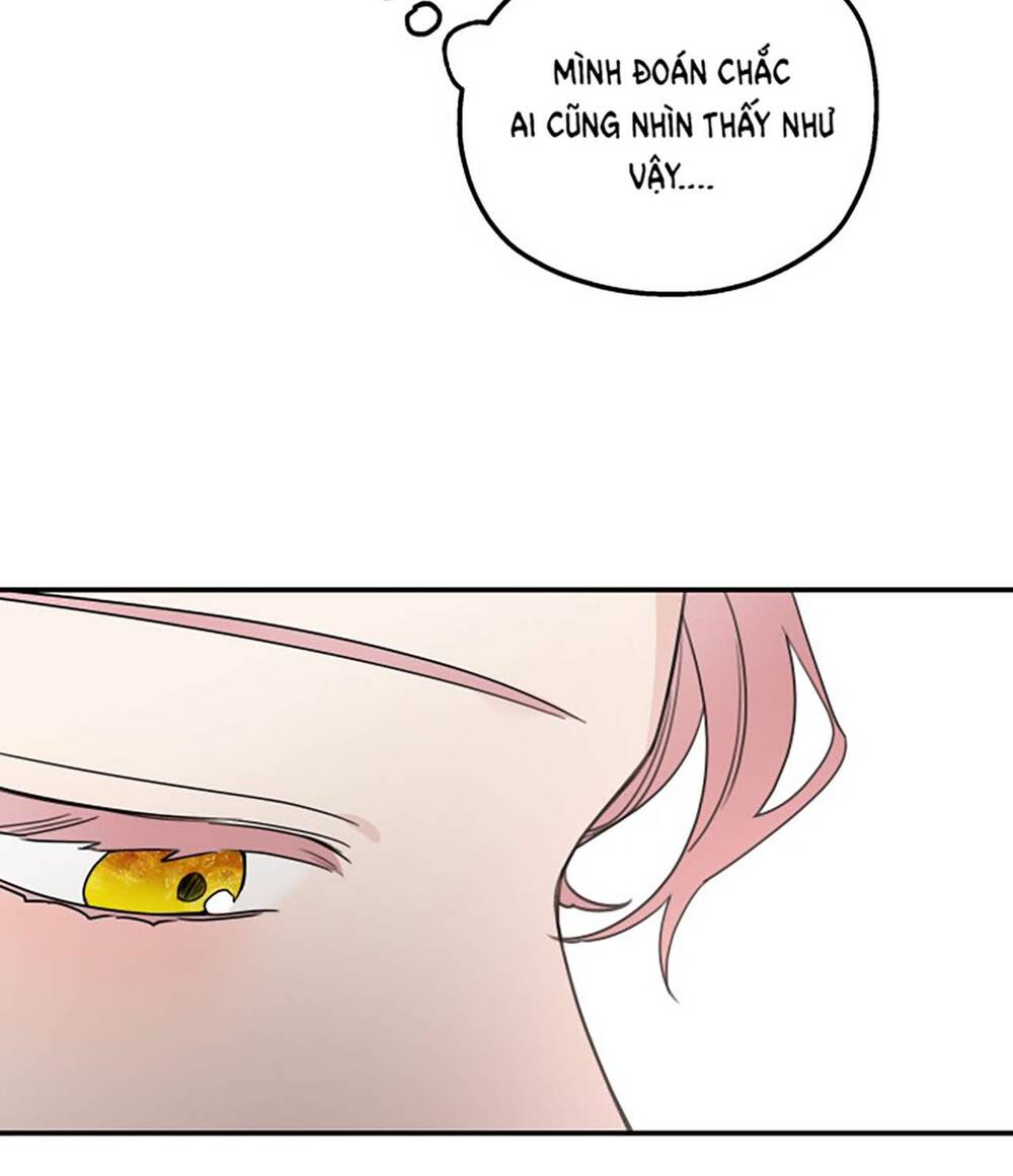 Gia Đình Chồng Bị Ám Ảnh Bởi Tôi: Chapter 42.1