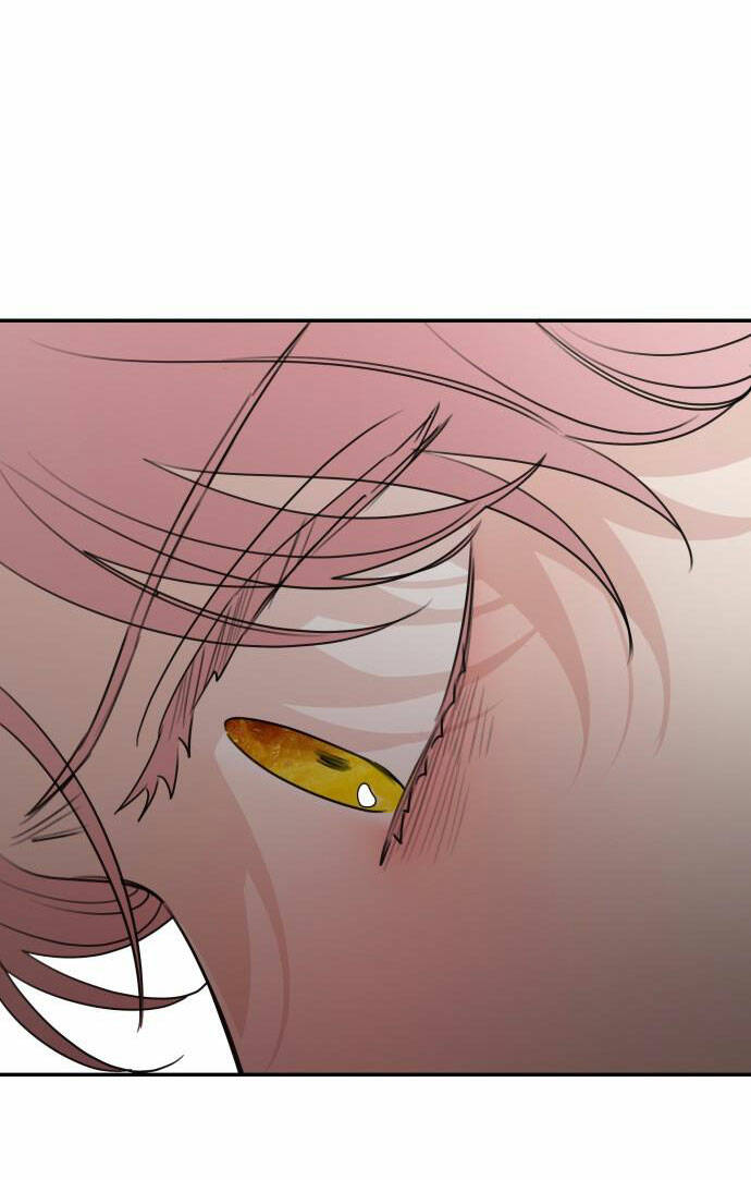 Gia Đình Chồng Bị Ám Ảnh Bởi Tôi: Chapter 61.1