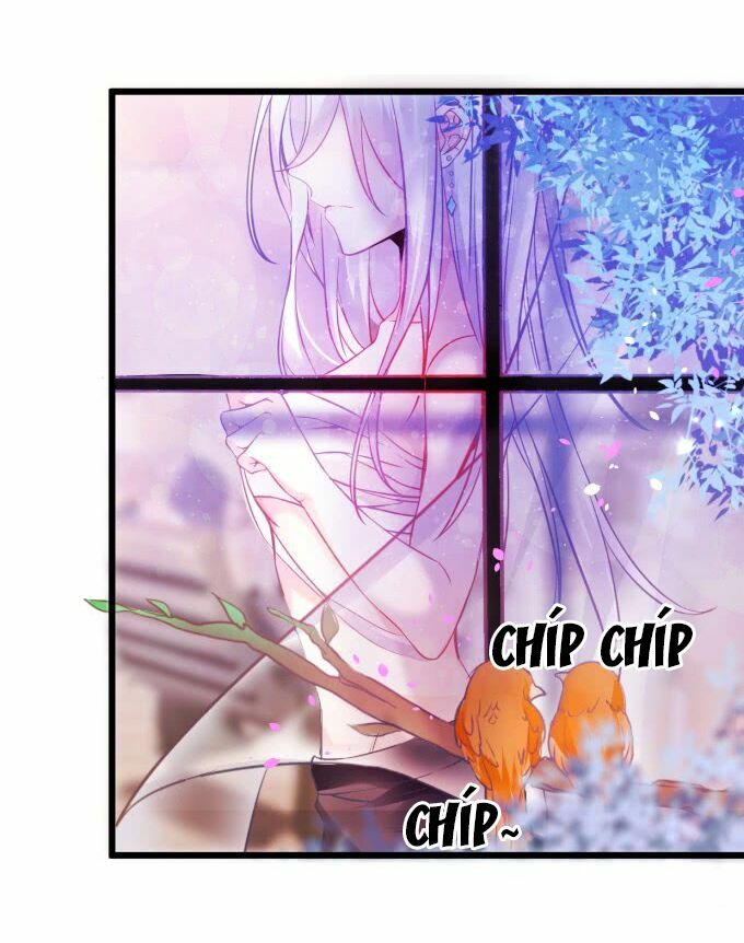 Hắc Đạo Đáng Yêu: Chapter 1