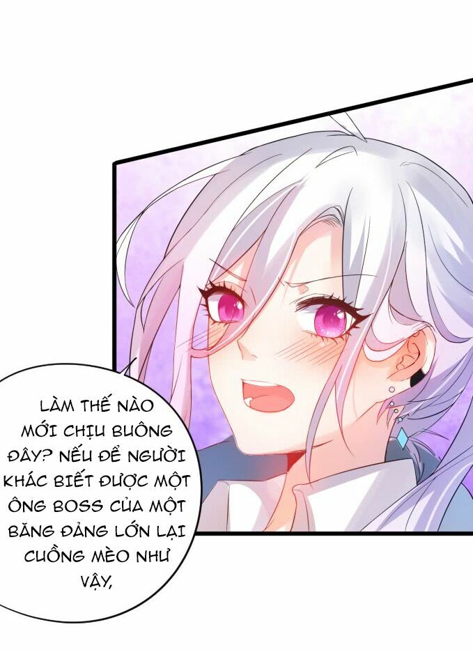 Hắc Đạo Đáng Yêu: Chapter 1
