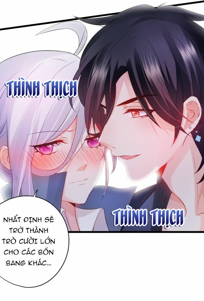 Hắc Đạo Đáng Yêu: Chapter 1