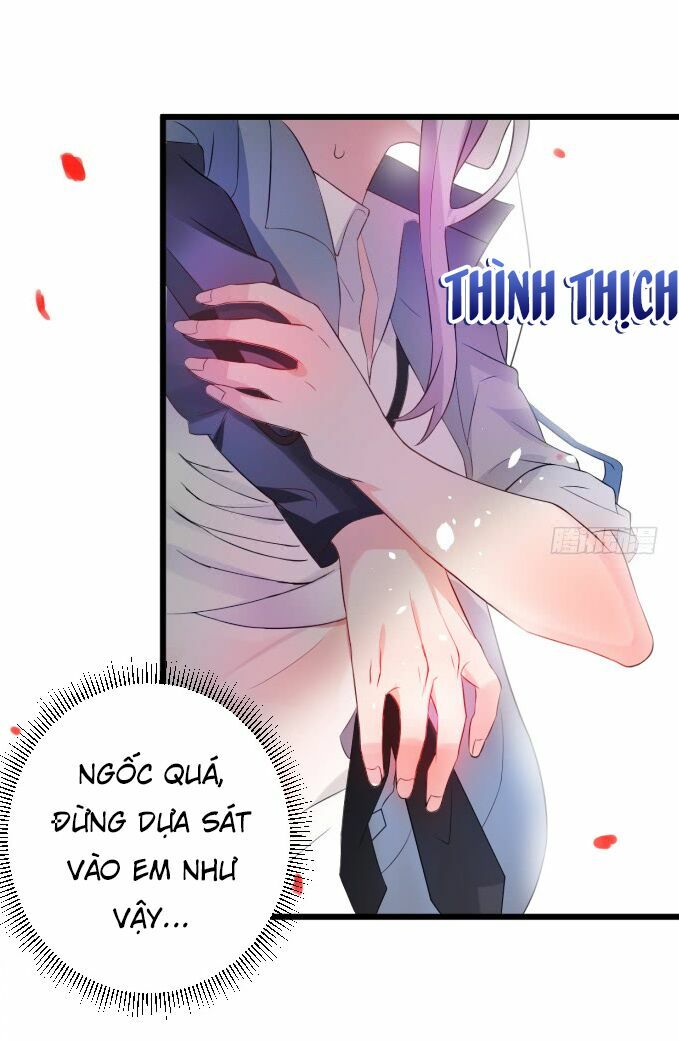 Hắc Đạo Đáng Yêu: Chapter 1