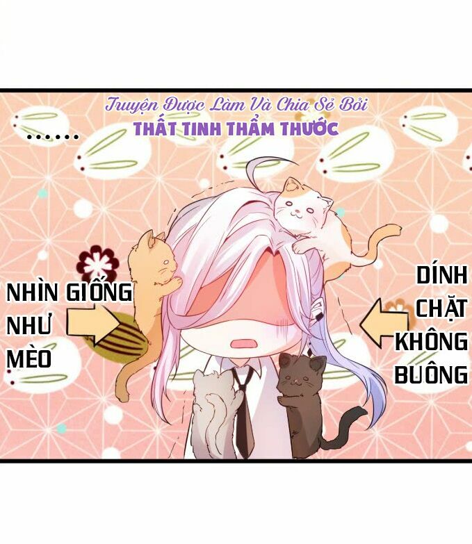 Hắc Đạo Đáng Yêu: Chapter 1