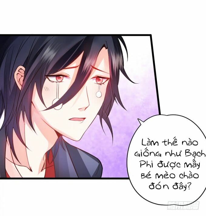 Hắc Đạo Đáng Yêu: Chapter 1