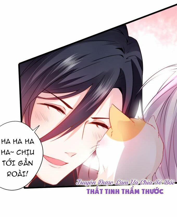 Hắc Đạo Đáng Yêu: Chapter 1