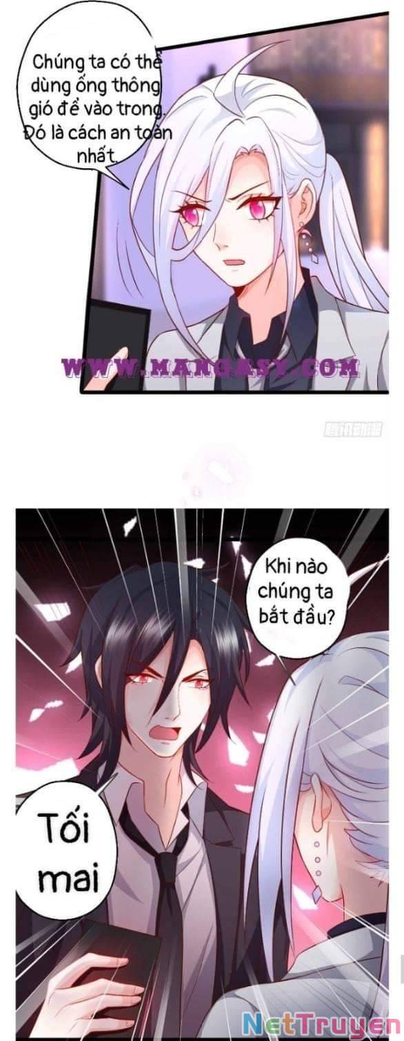 Hắc Đạo Đáng Yêu: Chapter 100