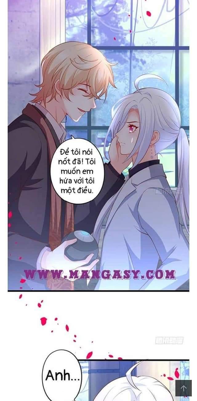 Hắc Đạo Đáng Yêu: Chapter 105