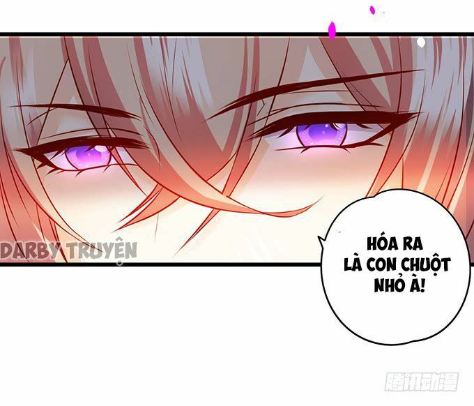 Hắc Đạo Đáng Yêu: Chapter 11