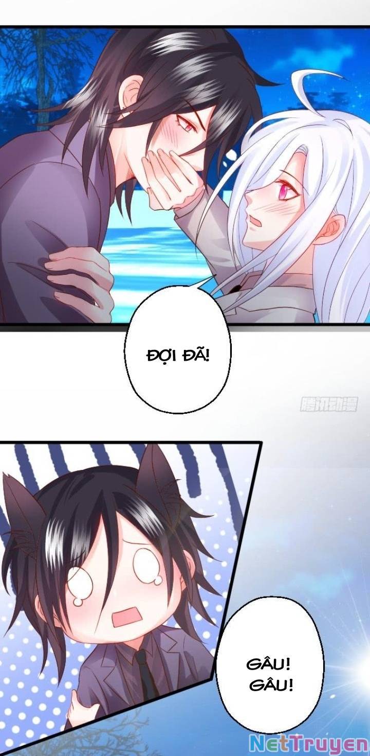 Hắc Đạo Đáng Yêu: Chapter 136