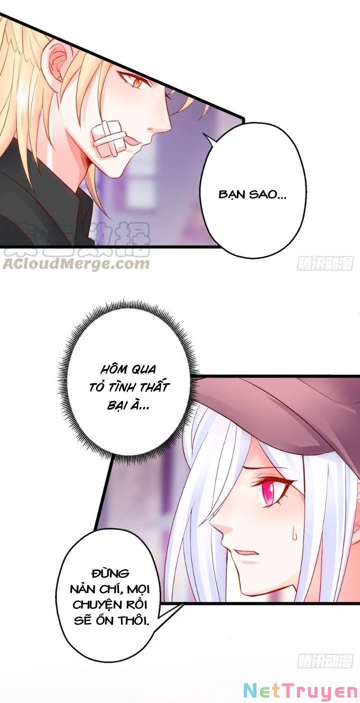 Hắc Đạo Đáng Yêu: Chapter 136
