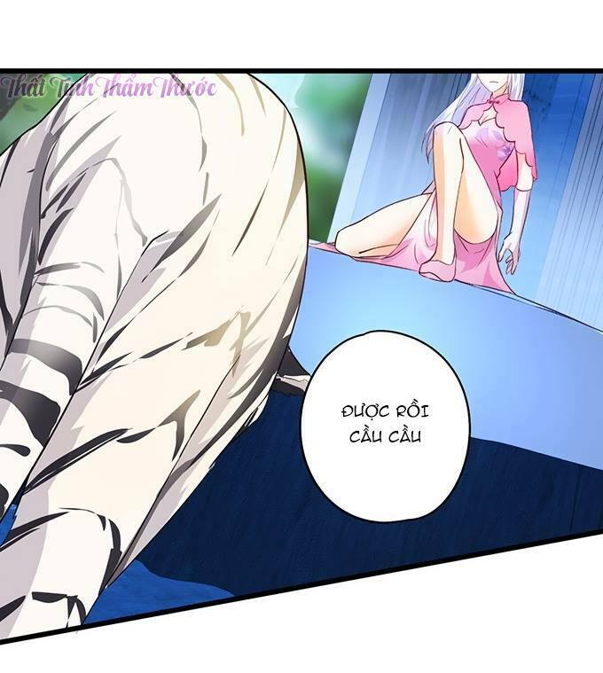 Hắc Đạo Đáng Yêu: Chapter 14
