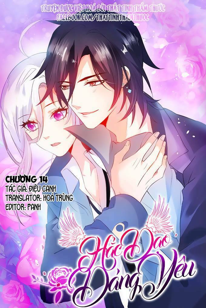 Hắc Đạo Đáng Yêu: Chapter 14