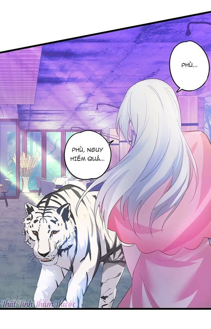 Hắc Đạo Đáng Yêu: Chapter 14