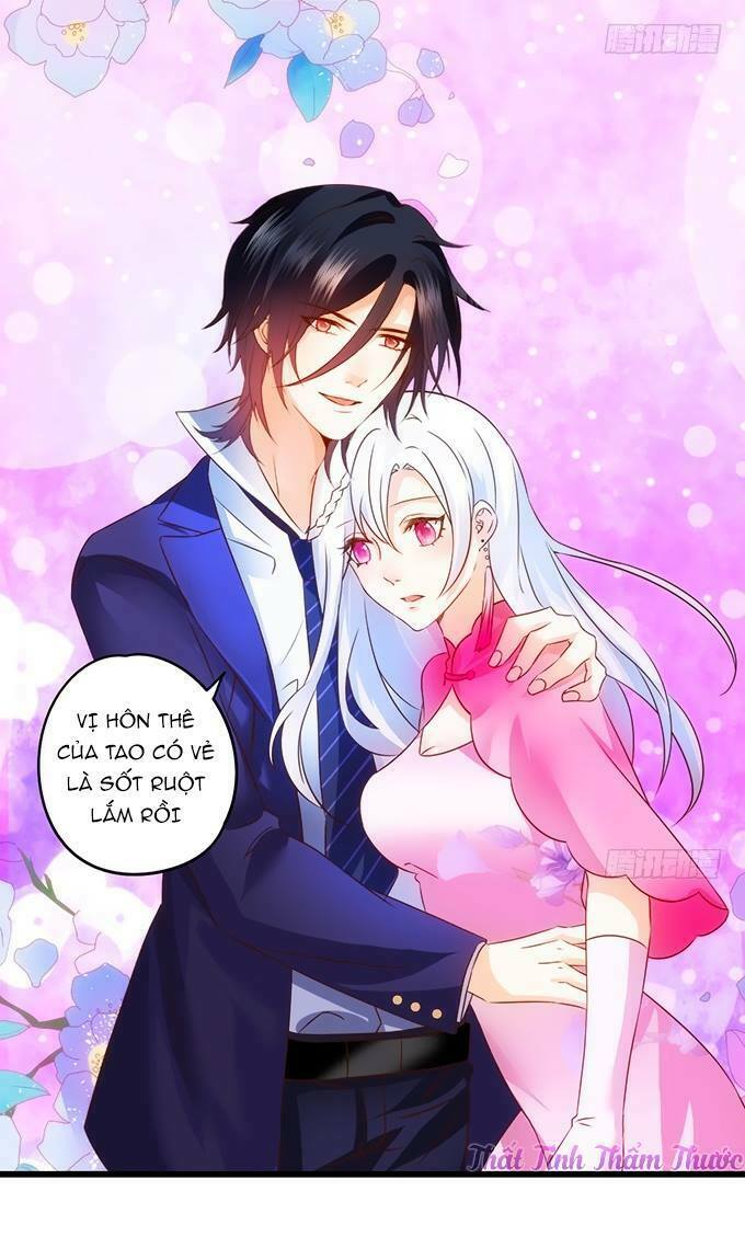 Hắc Đạo Đáng Yêu: Chapter 15