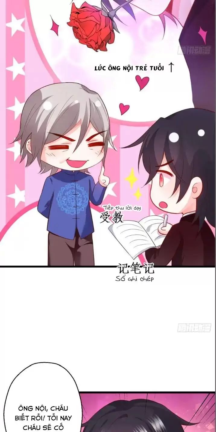 Hắc Đạo Đáng Yêu: Chapter 153