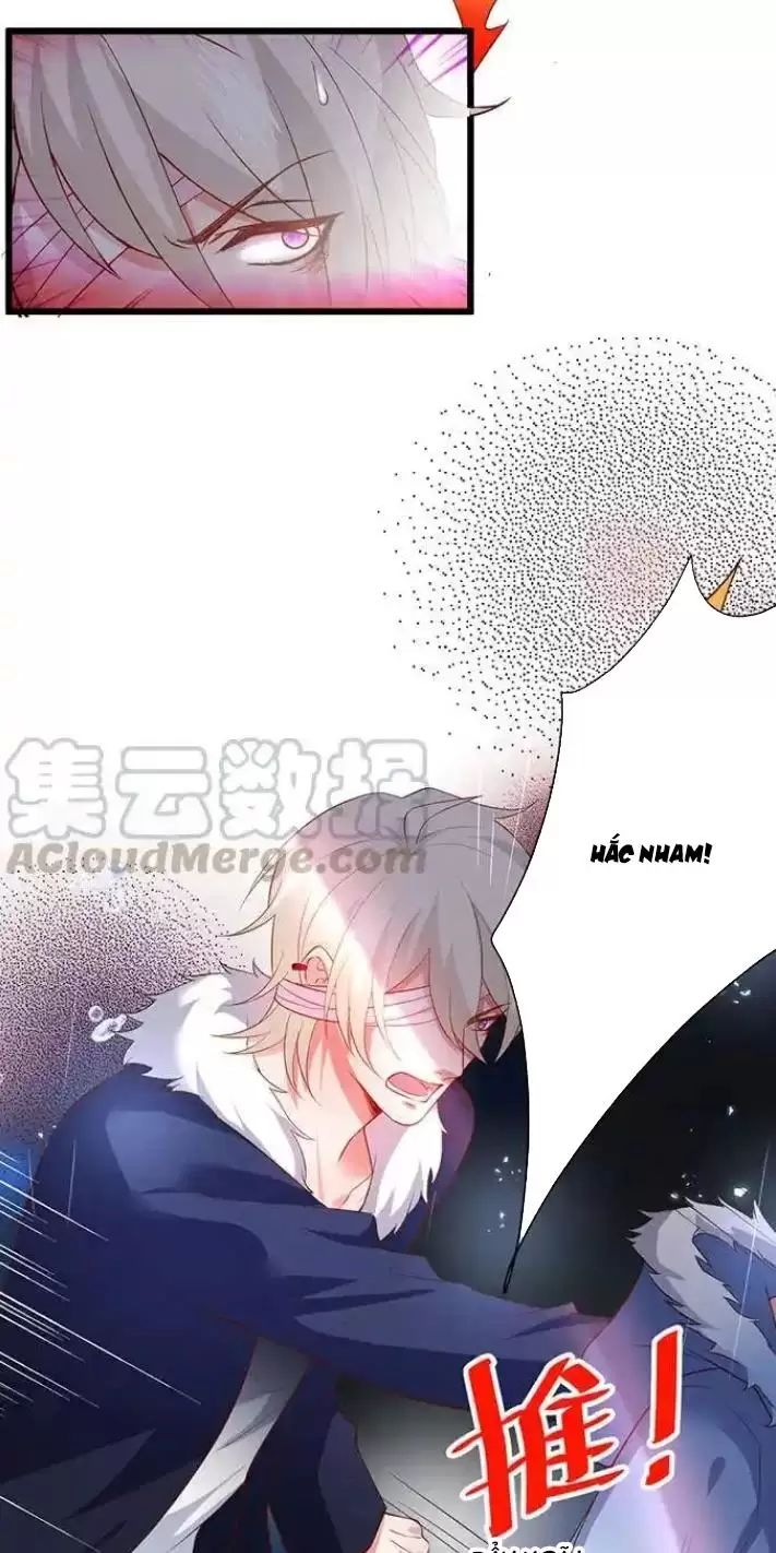 Hắc Đạo Đáng Yêu: Chapter 162