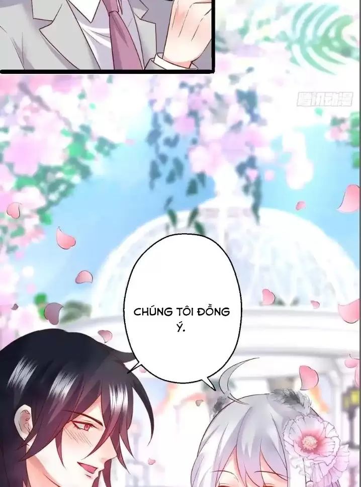 Hắc Đạo Đáng Yêu: Chapter 163
