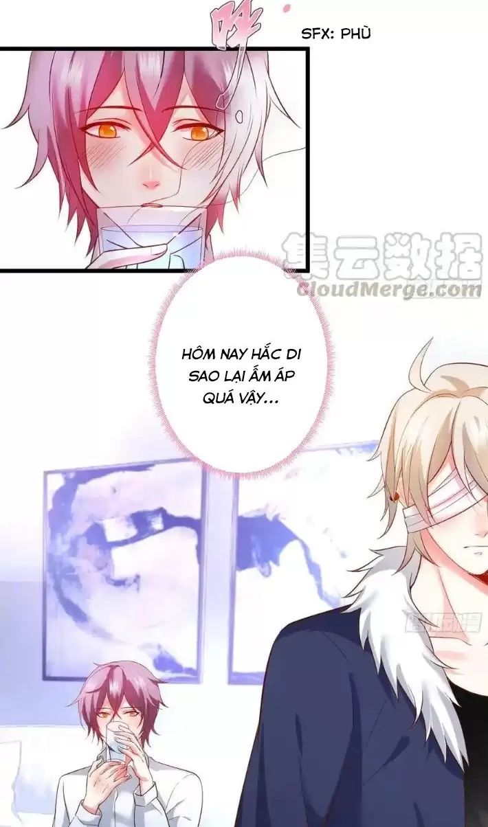 Hắc Đạo Đáng Yêu: Chapter 166