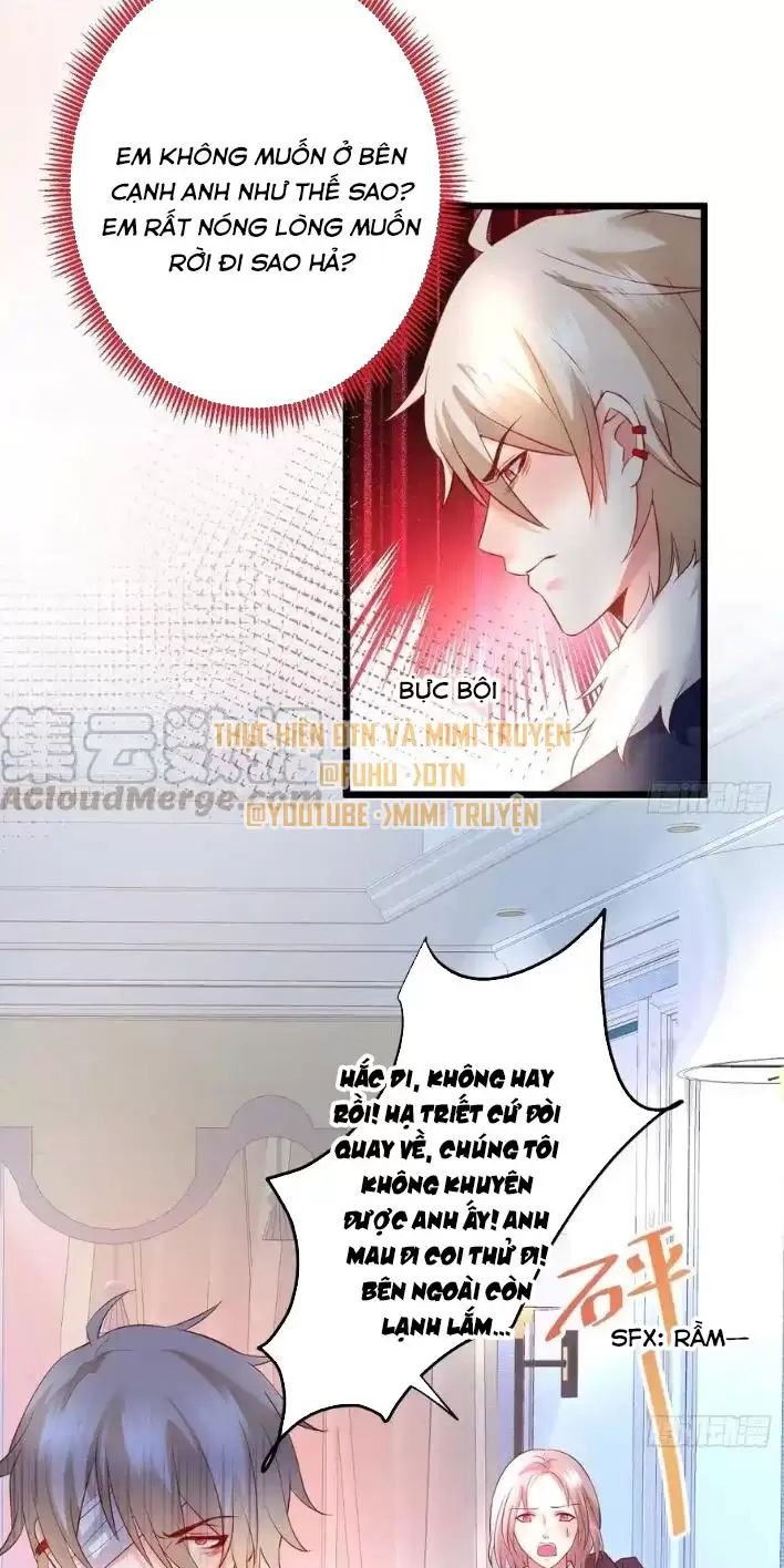 Hắc Đạo Đáng Yêu: Chapter 166