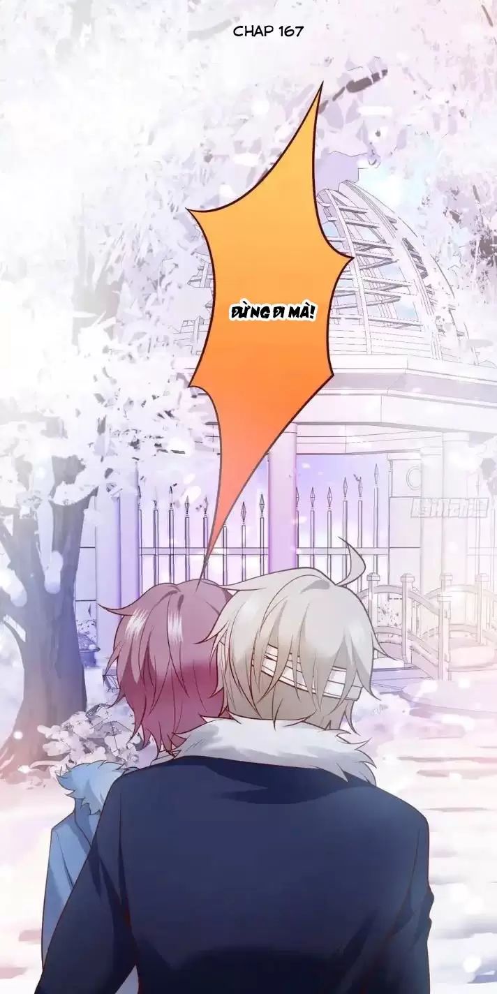 Hắc Đạo Đáng Yêu: Chapter 167