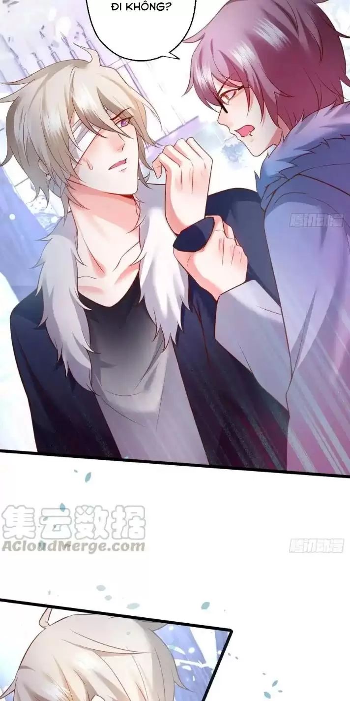 Hắc Đạo Đáng Yêu: Chapter 167