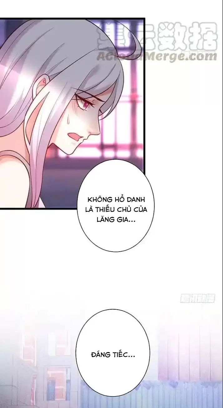 Hắc Đạo Đáng Yêu: Chapter 168