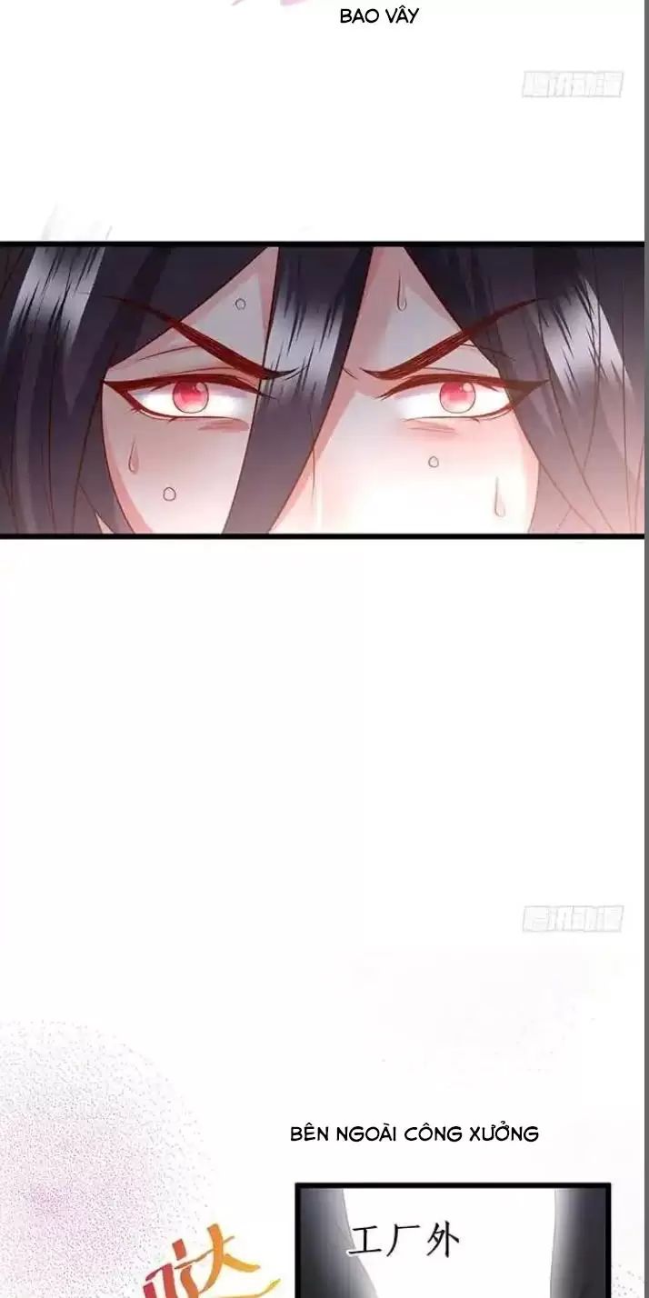 Hắc Đạo Đáng Yêu: Chapter 168