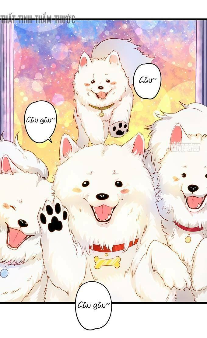 Hắc Đạo Đáng Yêu: Chapter 17