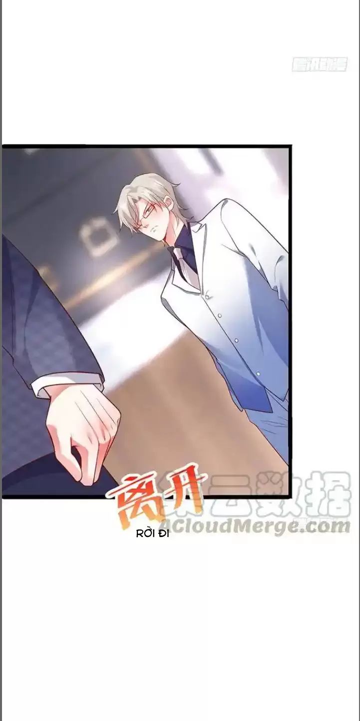 Hắc Đạo Đáng Yêu: Chapter 175