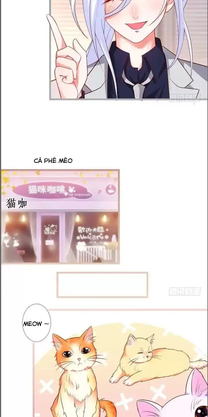 Hắc Đạo Đáng Yêu: Chapter 176