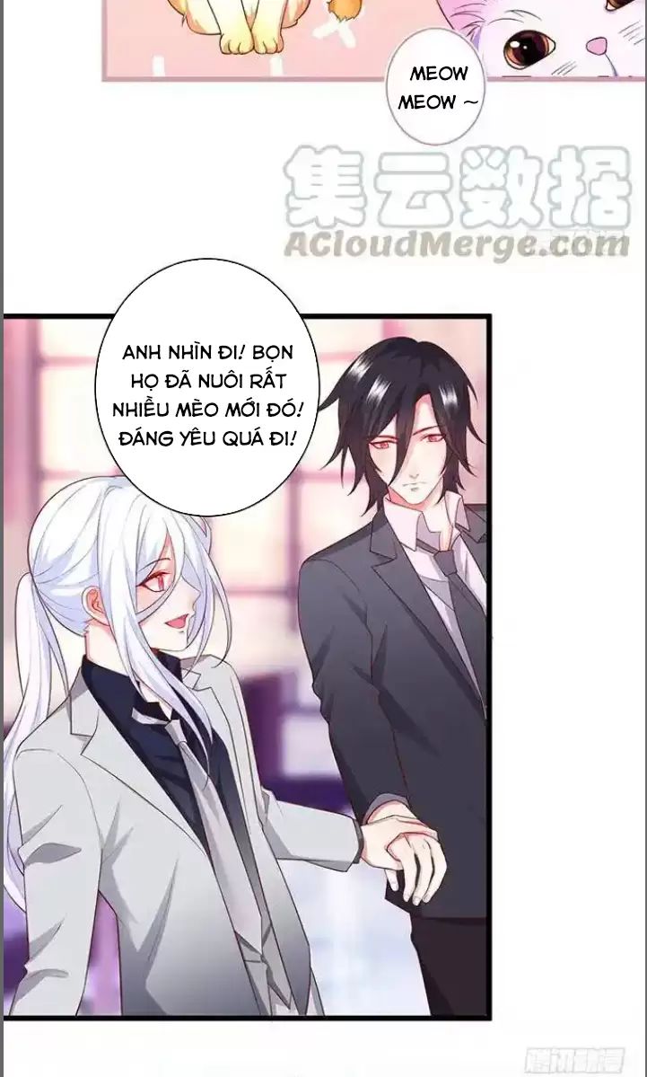 Hắc Đạo Đáng Yêu: Chapter 176