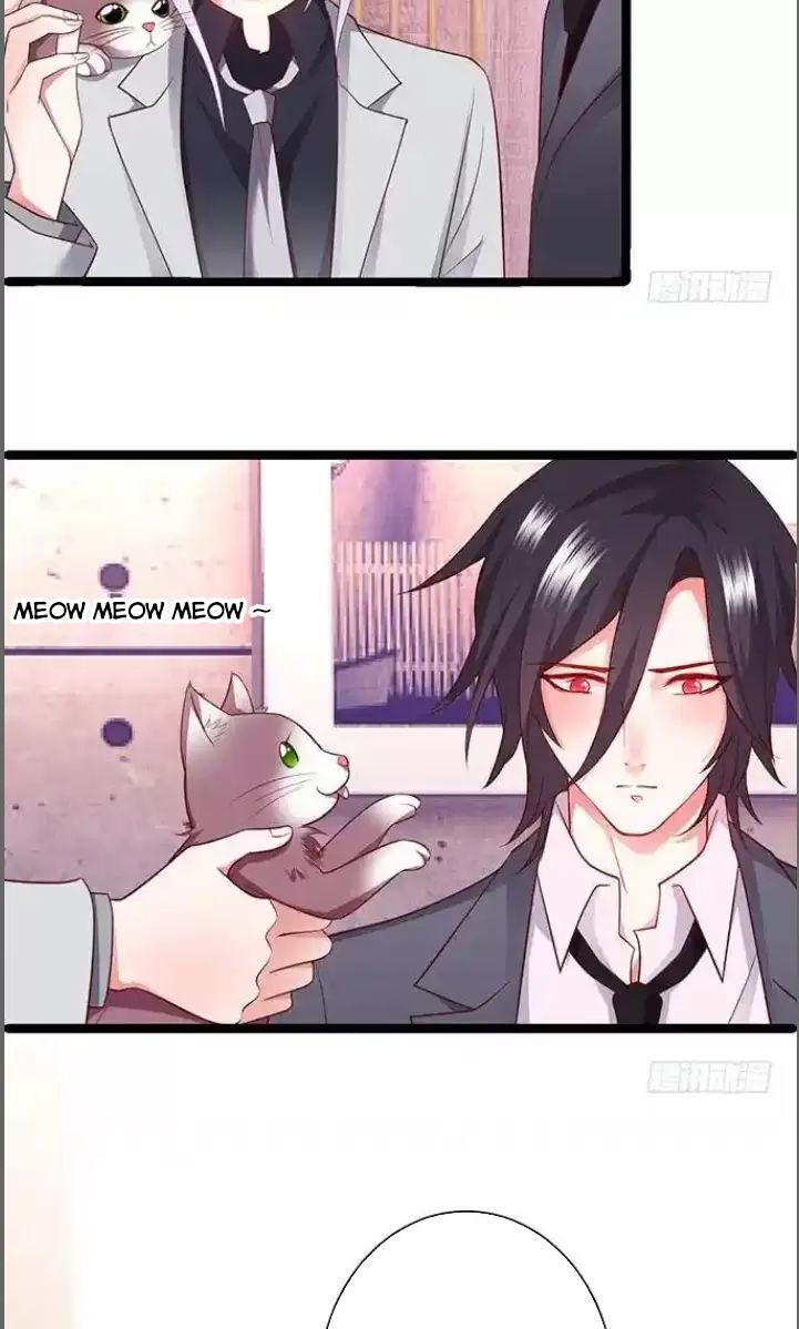Hắc Đạo Đáng Yêu: Chapter 176